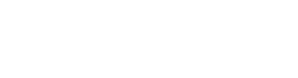 ES_Financiado_por_la_Union_Europea_RGB_WHITE_Outline